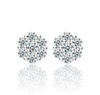 Par de Aros Mega-Cluster VVS